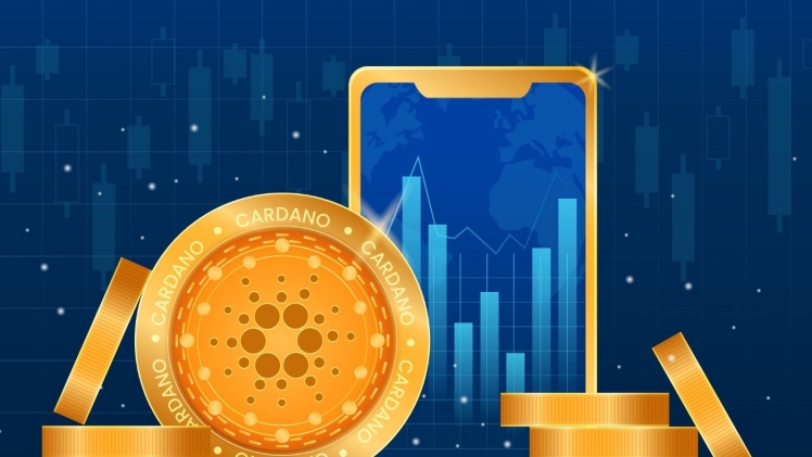 Why should you know about Cardano?