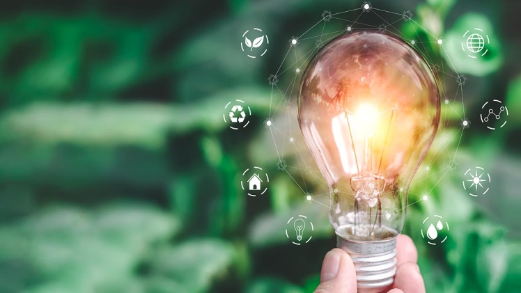 Eco Friendly Startups Taking Action Against Climate Change