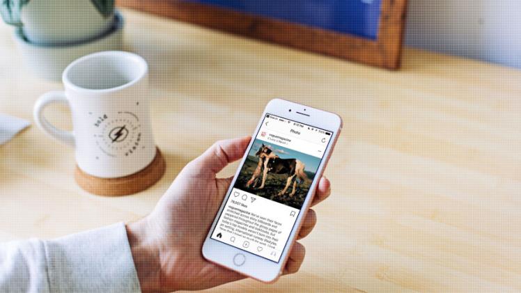 Seven Guidelines for Creating Interesting Social Media Captions